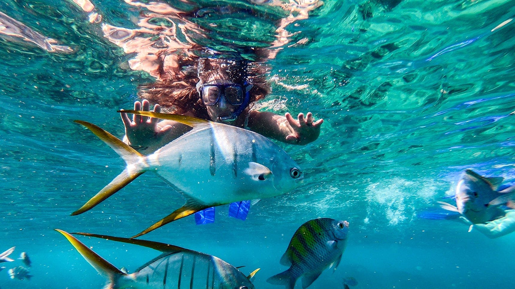 Cabo San Lucas City Tour with Catamaran Cruise