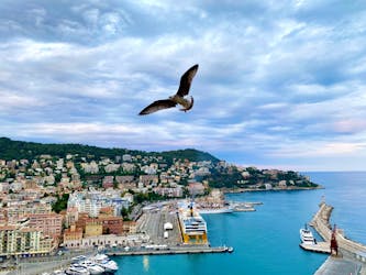 French Riviera highlights full day tour
