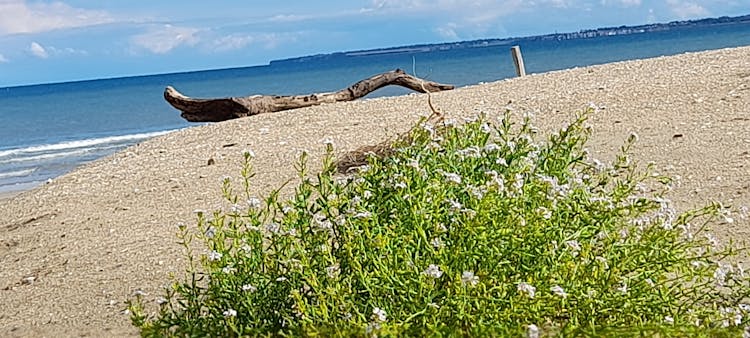 Private guided tour of Normandy landing beaches from Bayeux or Caen