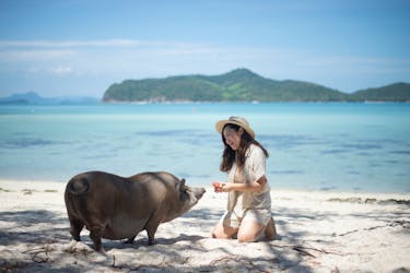 Koh Samui eilandhoppen ontspannende tour op Coral and Pigs Island