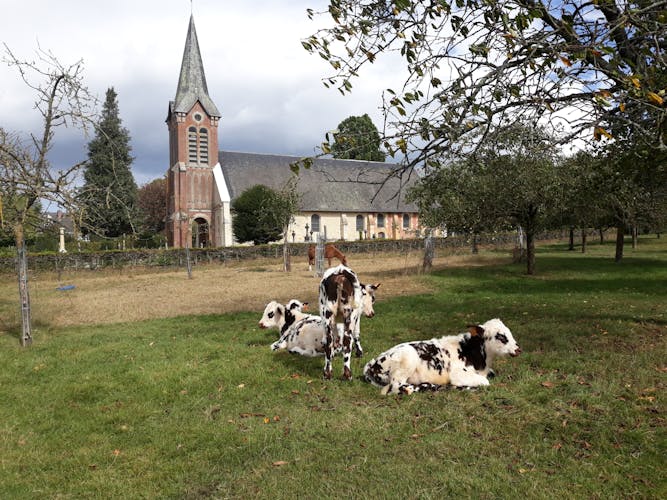 Private guided tour of Honfleur and Pays d'Auge