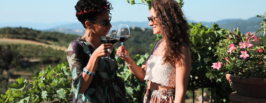 Experiência em Chianti de tarde com duas degustações de vinhos