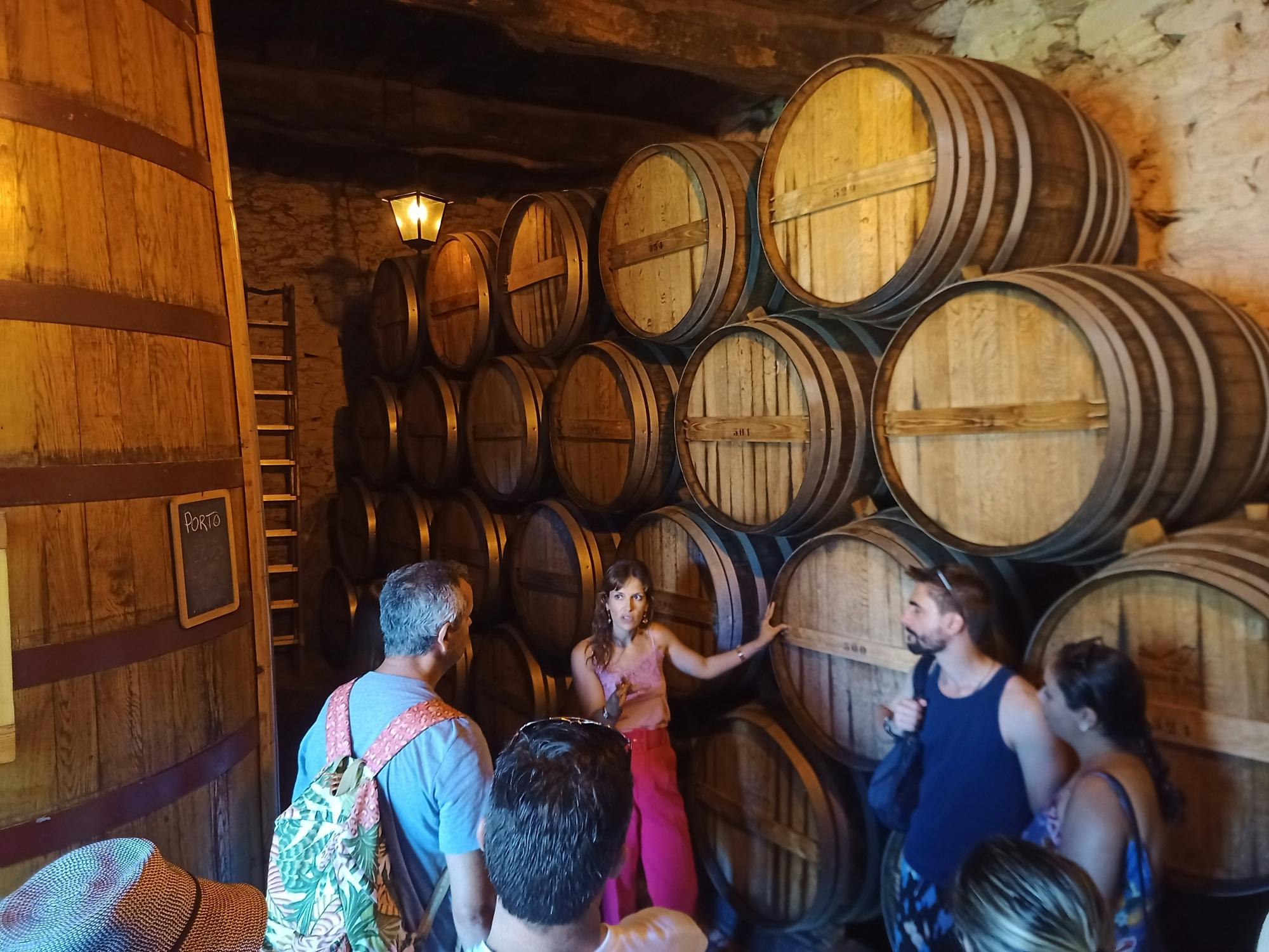 Experiência da rota dos vinhos do Douro a partir do Porto