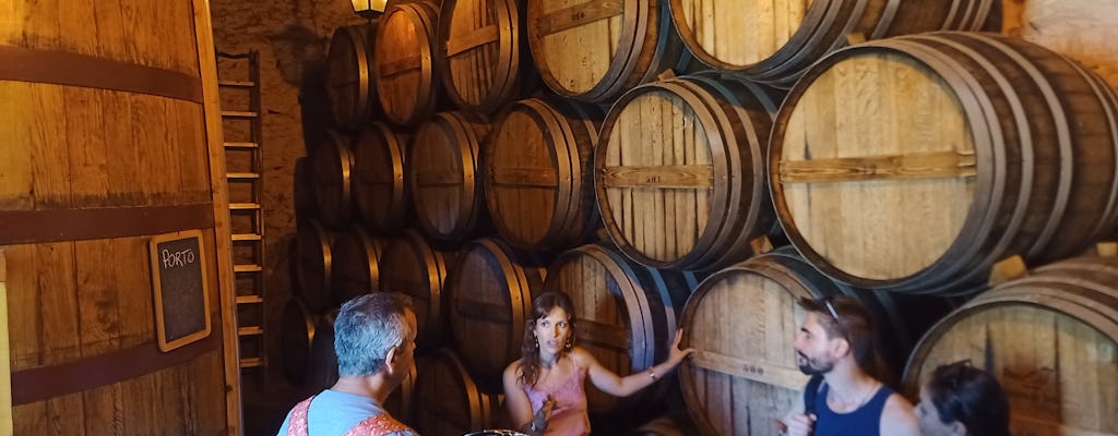 Experiência da rota dos vinhos do Douro a partir do Porto