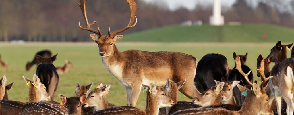 Bilhetes e tours Phoenix Park