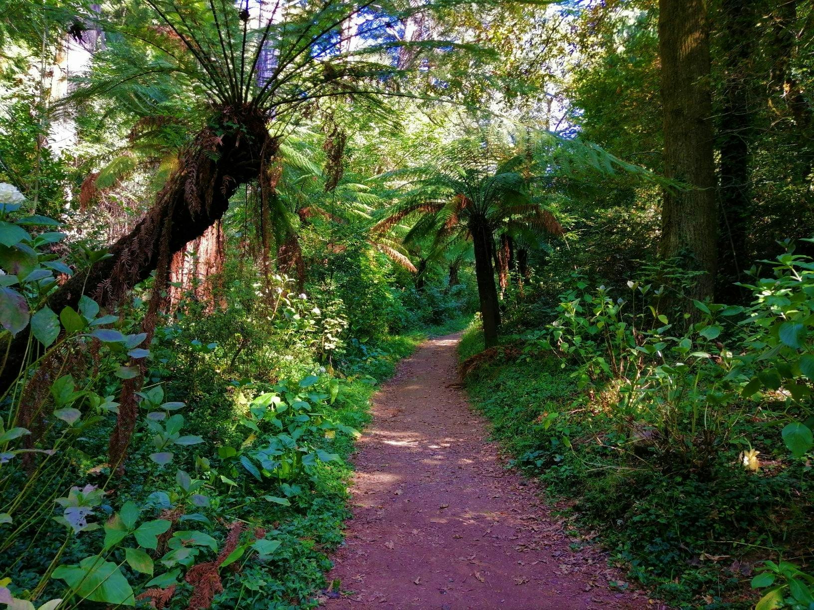 Wycieczka piesza po lesie Bussaco z Coimbry