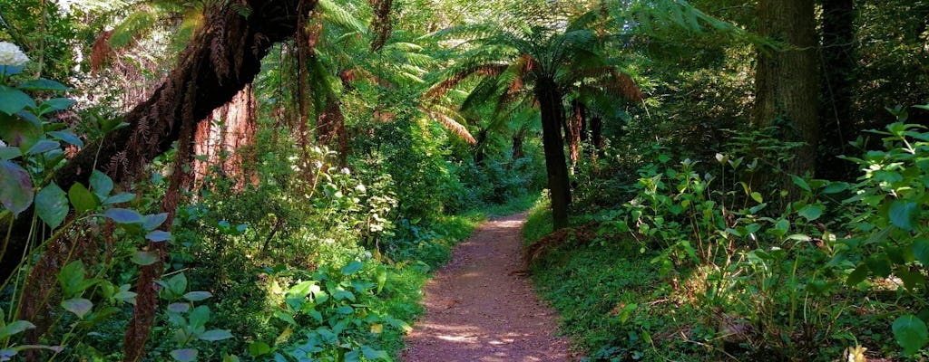 Wycieczka piesza po lesie Bussaco z Coimbry