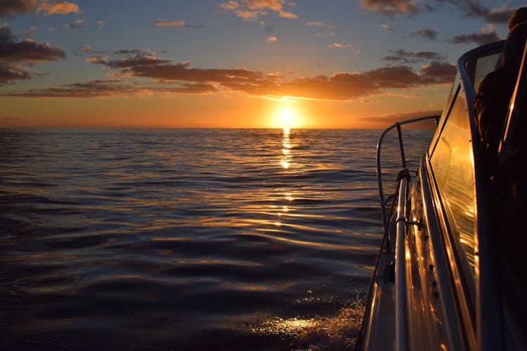 Private sunset cruise  and snorkeling from Madeira