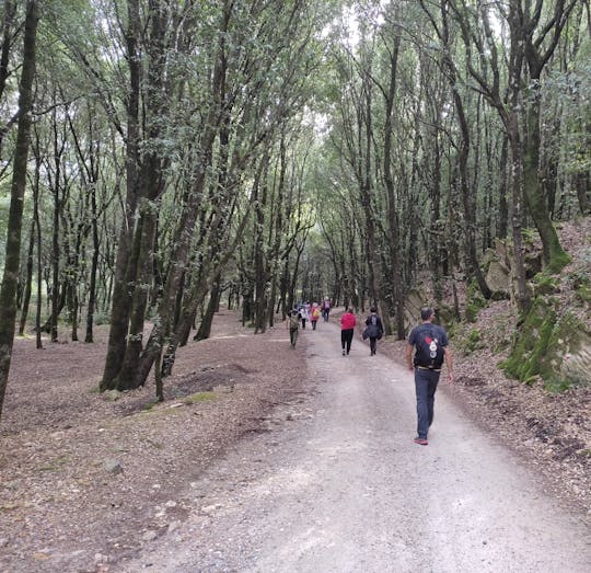Trekking to Vagoni Path and San Giovanni Caves in Domusnovas