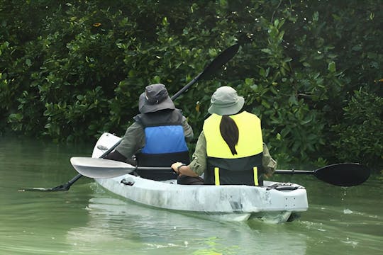 Aventure en kayak sur la rivière Lebam