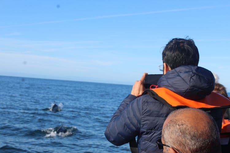 Dolphin watching and tour of 2 islands in Ria Formosa