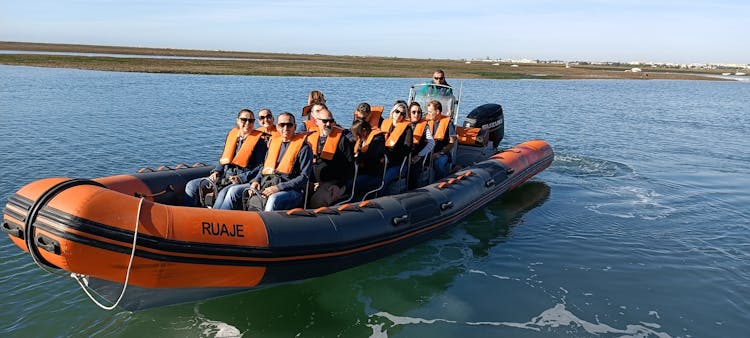 Dolphin watching and tour of 2 islands in Ria Formosa