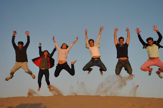 Excursion d'une demi-journée en buggy dans les dunes de sable à Paracas
