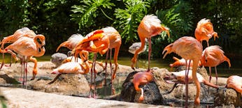Bilety do Zoo w Barcelonie