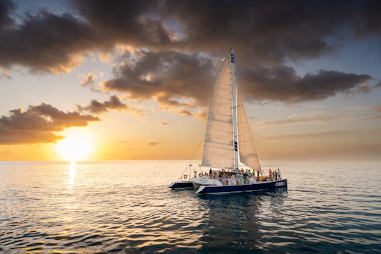 Captain's Choice sunset sail and dolphin watch