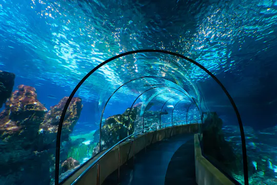 Spring-køen-over billetter til Barcelona Aquarium