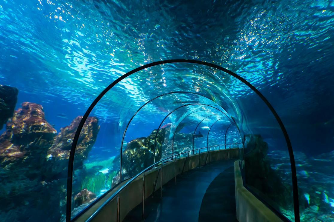 巴塞罗那水族馆免排队门票，探索地中海海洋世界