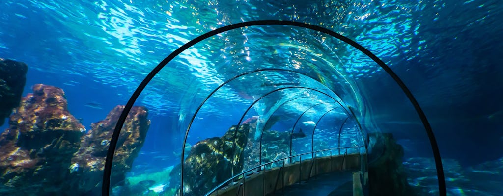 Barcelona Aquarium skip-the-line tickets