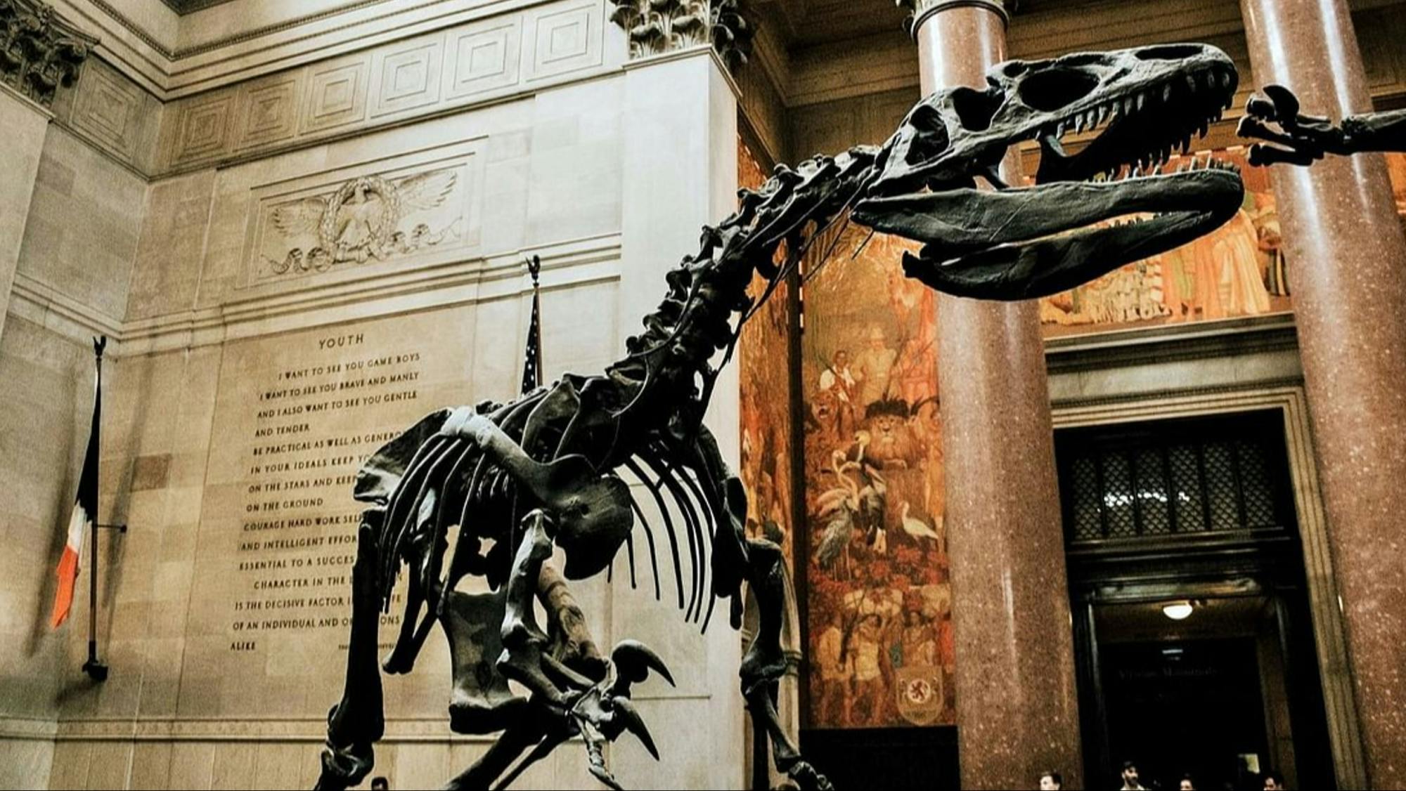 American Museum of Natural History-ticket en zelfgeleide audiotour
