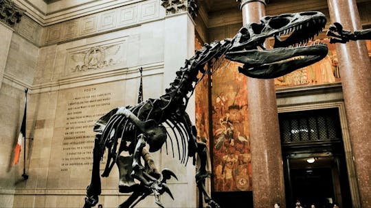 American Museum of Natural History ticket and self-guided audio tour