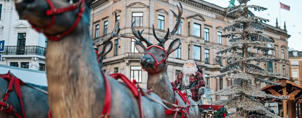 Prywatna wycieczka świąteczna z przewodnikiem po Kopenhadze