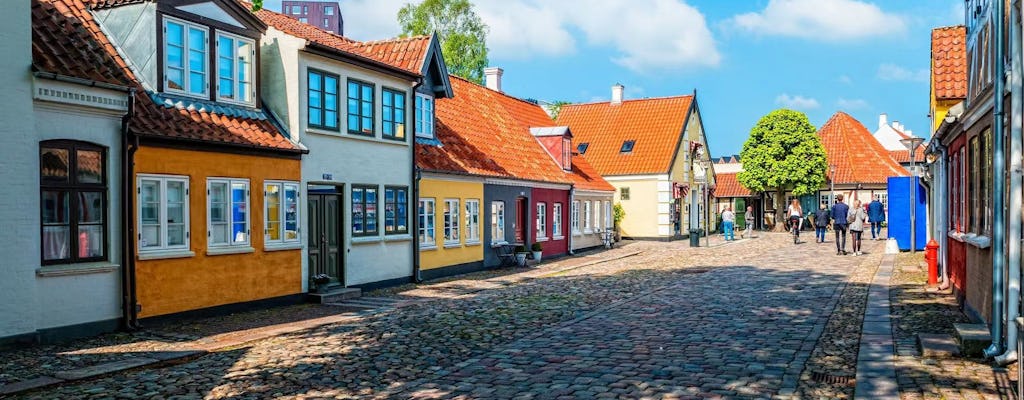Romantische privéwandeling door Odense