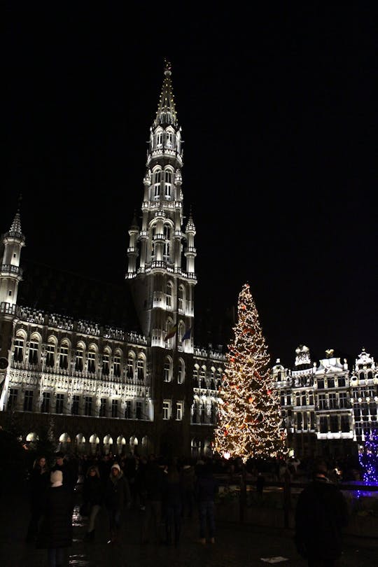Magic Christmas tour in Brussels