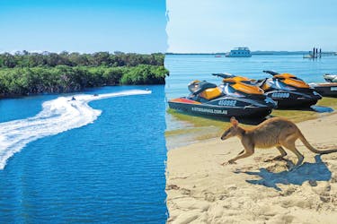 Safari en jet ski d’une heure et demie sur la Gold Coast
