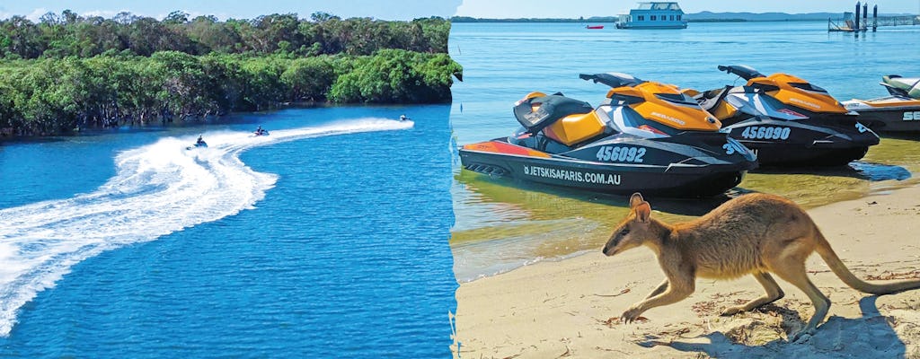 Experiencia de safari en moto acuática de 1,5 horas en Gold Coast