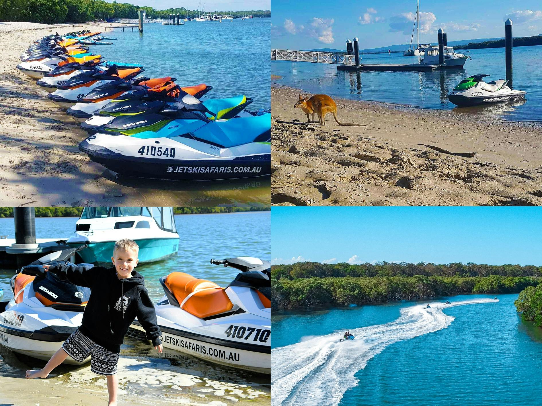 Tour safari in moto d'acqua della Gold Coast di 2,5 ore