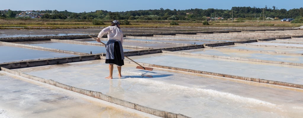 Figueira da Foz, rice paddies and saline pans excursion from Coimbra