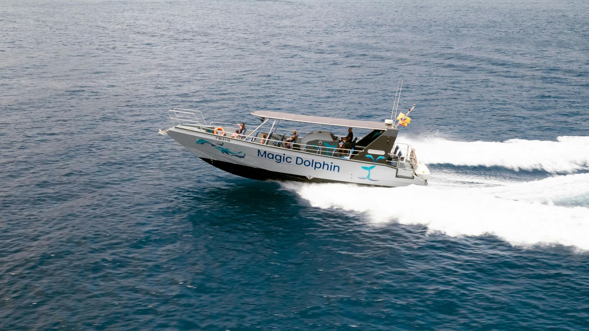 Jandia Dolphin Watching Cruise