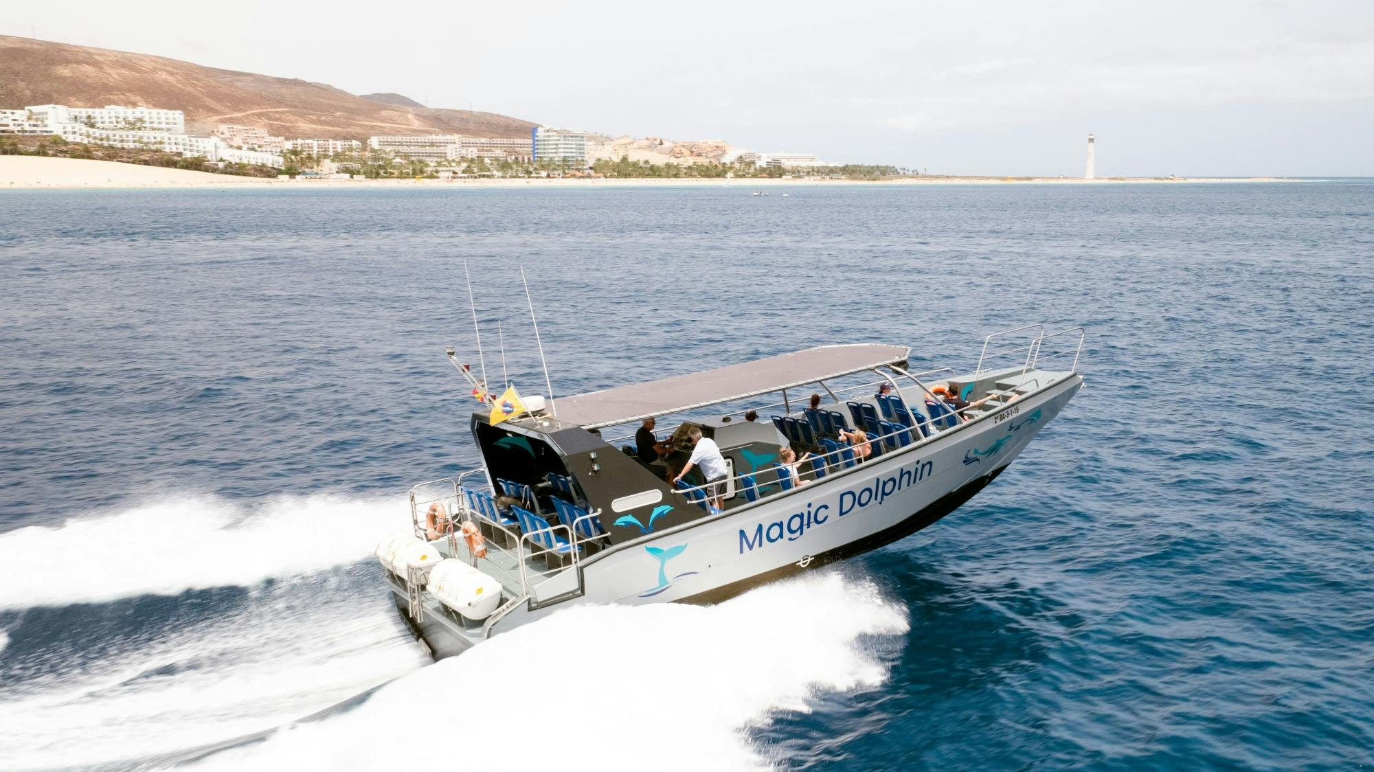 Jandia Dolphin Watching Cruise