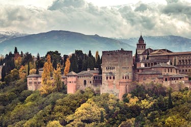 Tour dell’Alhambra e dei Palazzi Nasridi da Malaga
