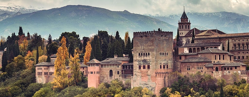 Alhambra and Nasrid Palaces tour from Malaga