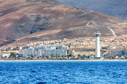 Jandia Dolphin Watching Cruise