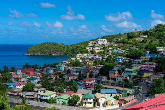 3-hour cultural therapy experience in St. Lucia