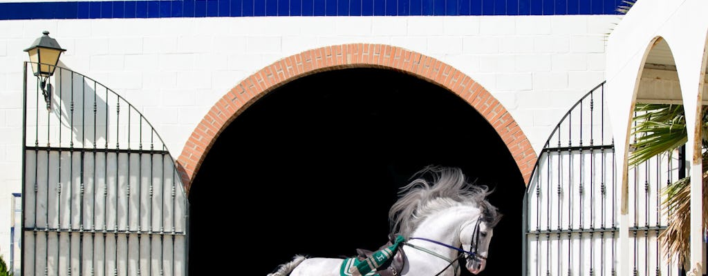 Andalusische paardenflamencoshow in Torremolinos