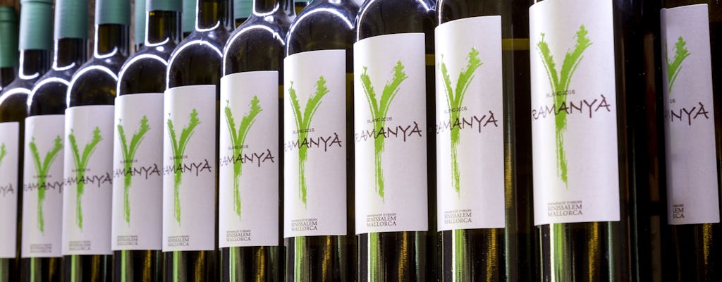 Majorca Winery Visit with Wine & Local Food Tasting