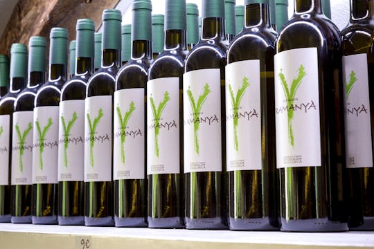 Mallorca vingårdsbesök med vinprovning och mat