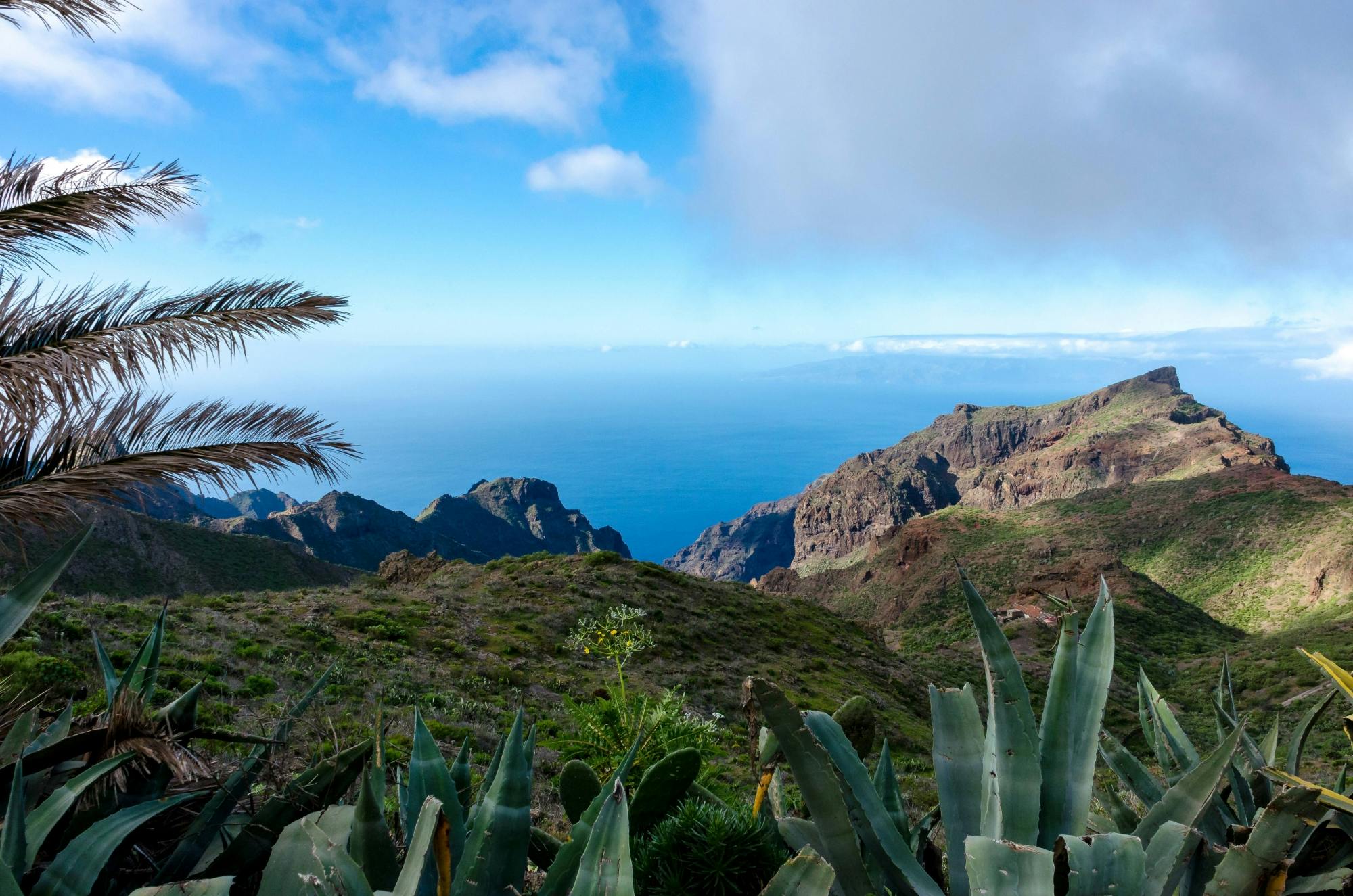 Øyrundtur på nordvestre Tenerife med kanarisk lunsj