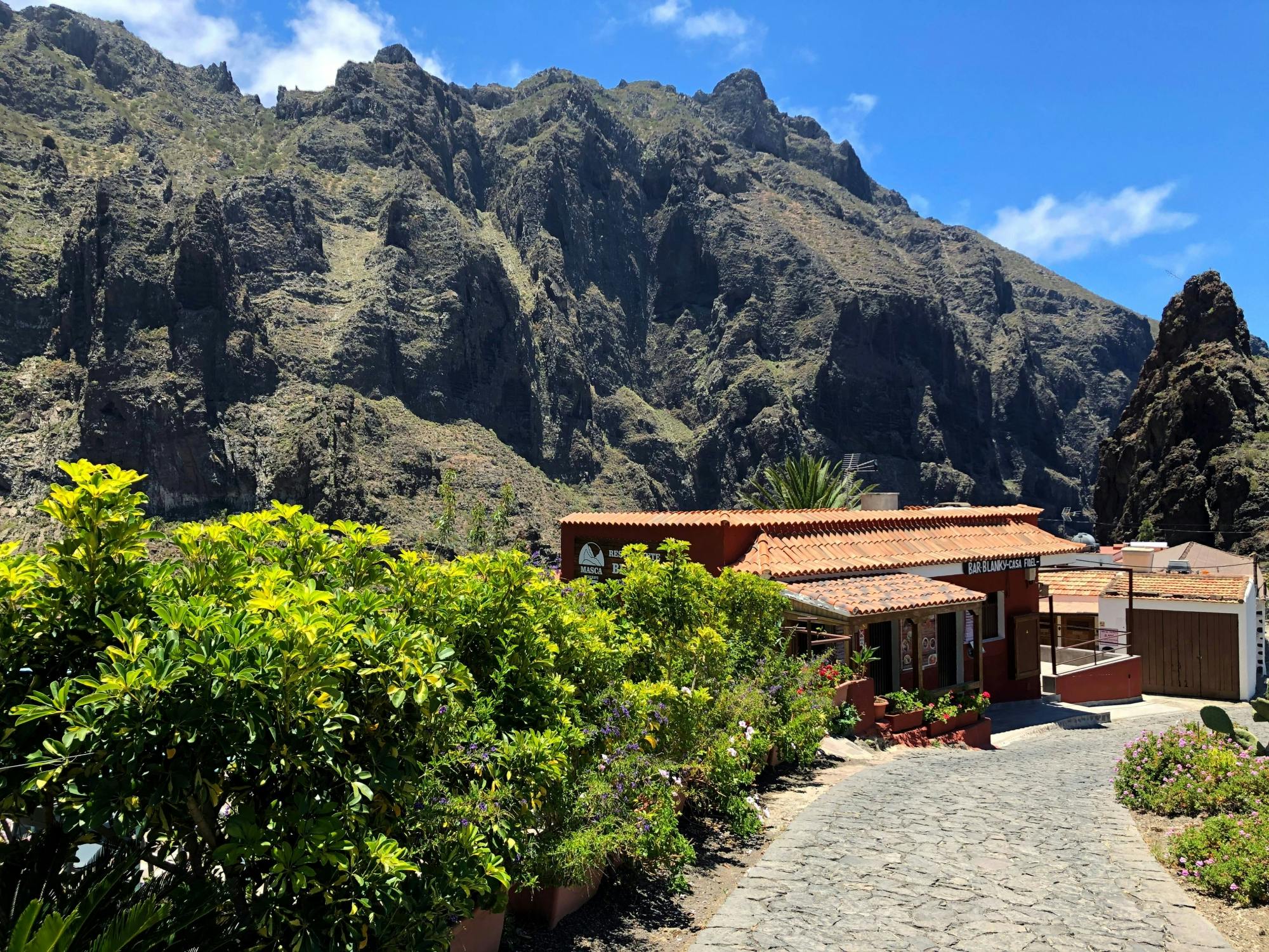 Northwest Tenerife Tour with Canarian Lunch