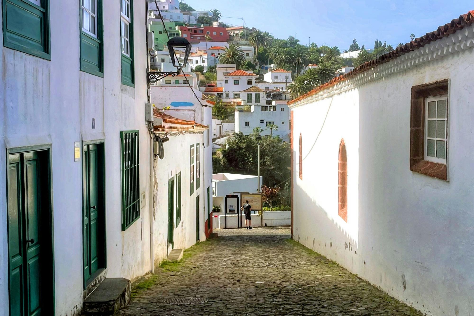 Tenerife Tour with Anaga Mountains and La Laguna