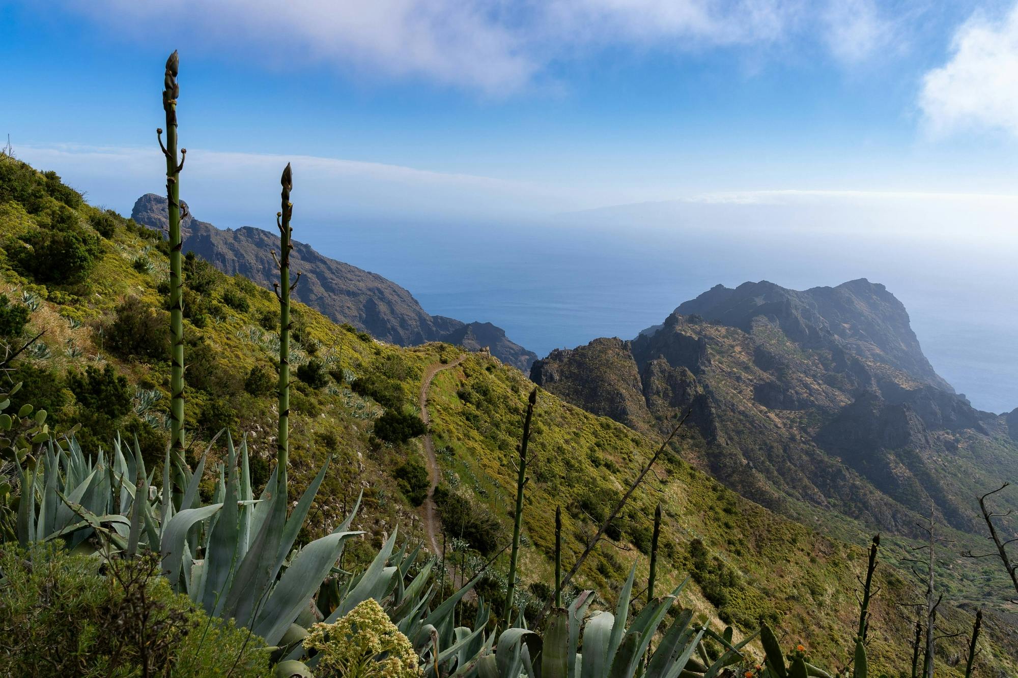 Northwest Tenerife Tour with Canarian Lunch