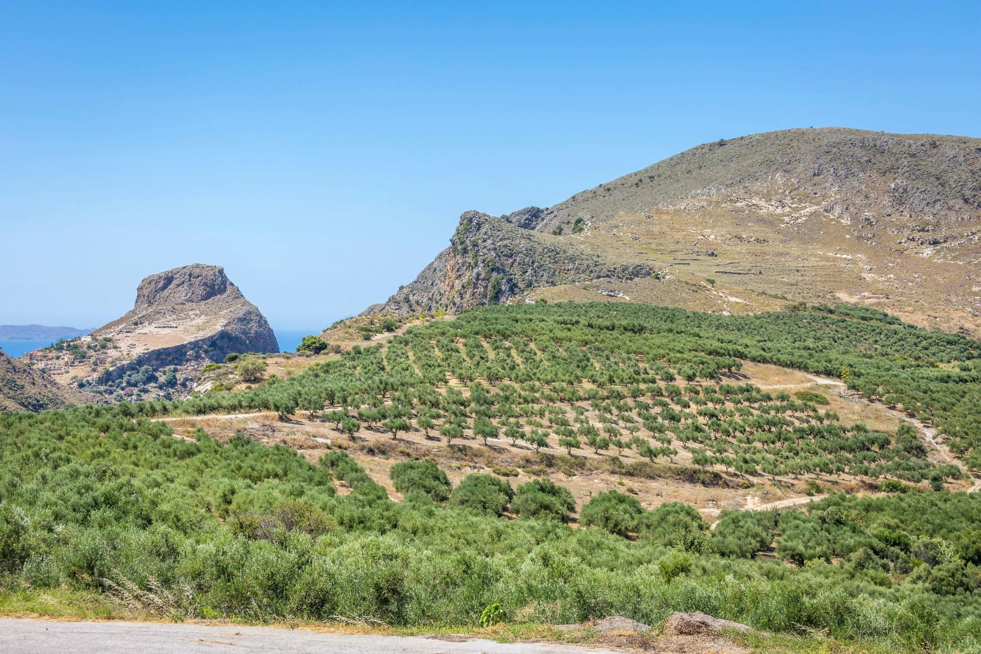 Excursión por Creta occidental con bodega y finca de aceite de oliva
