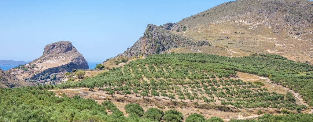 Excursión por Creta occidental con bodega y finca de aceite de oliva