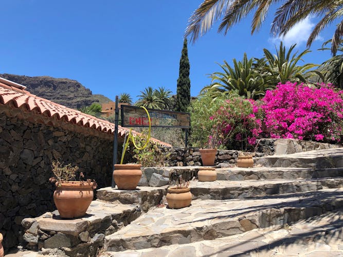 Northwest Tenerife Tour with Canarian Lunch