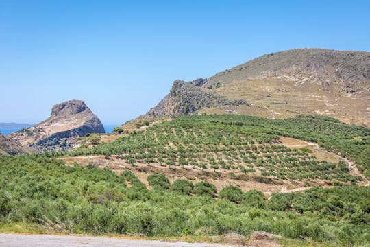 Visite de l'est de la Crète avec un domaine viticole et une exploitation d'huile d'olive