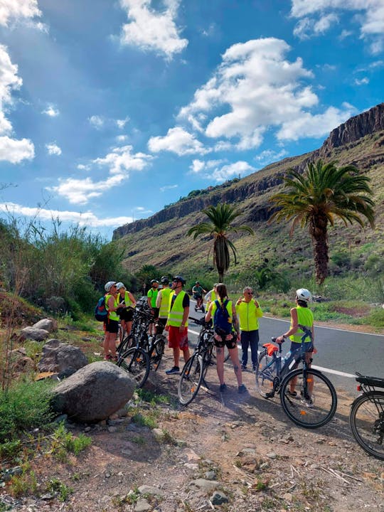 E-bike Maspalomas Countryside Tour with Tapas