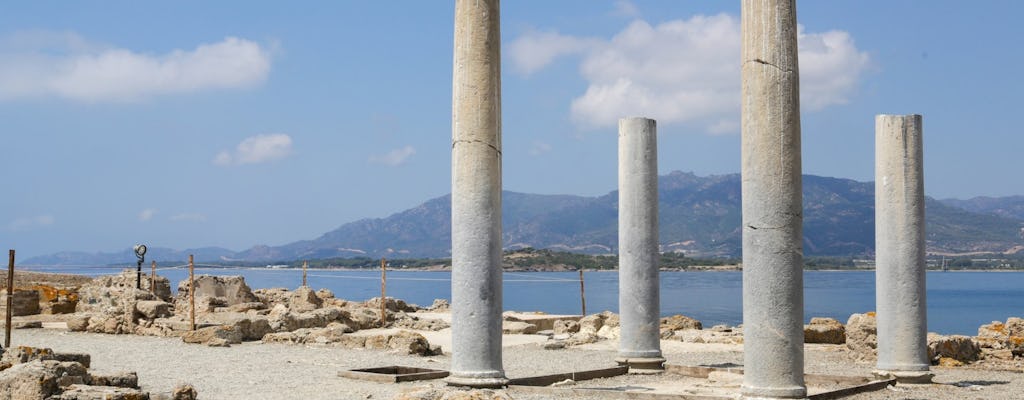Guided tour of Nora archaeological site from Cagliari